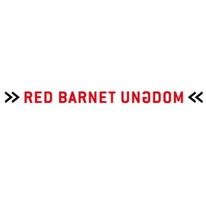 Red Barnet Ungdom